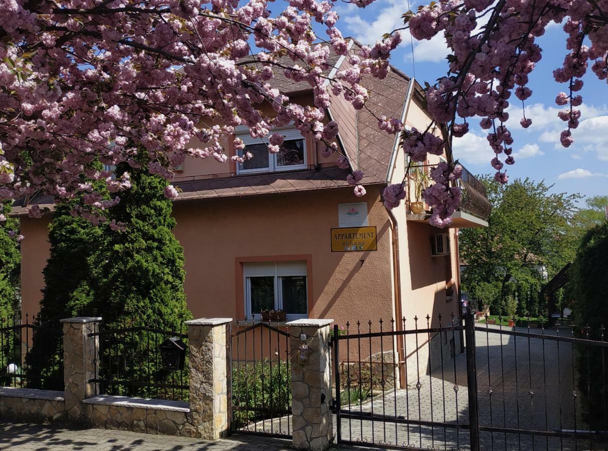 Szecsenyi Apartman Hévíz المظهر الخارجي الصورة